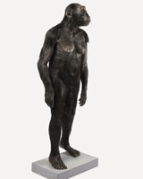 Rekonstruktion Australopithecus africanus