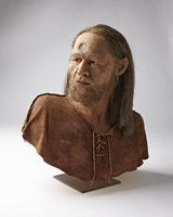 Rekonstruktion Neandertaler Cro-Magnon